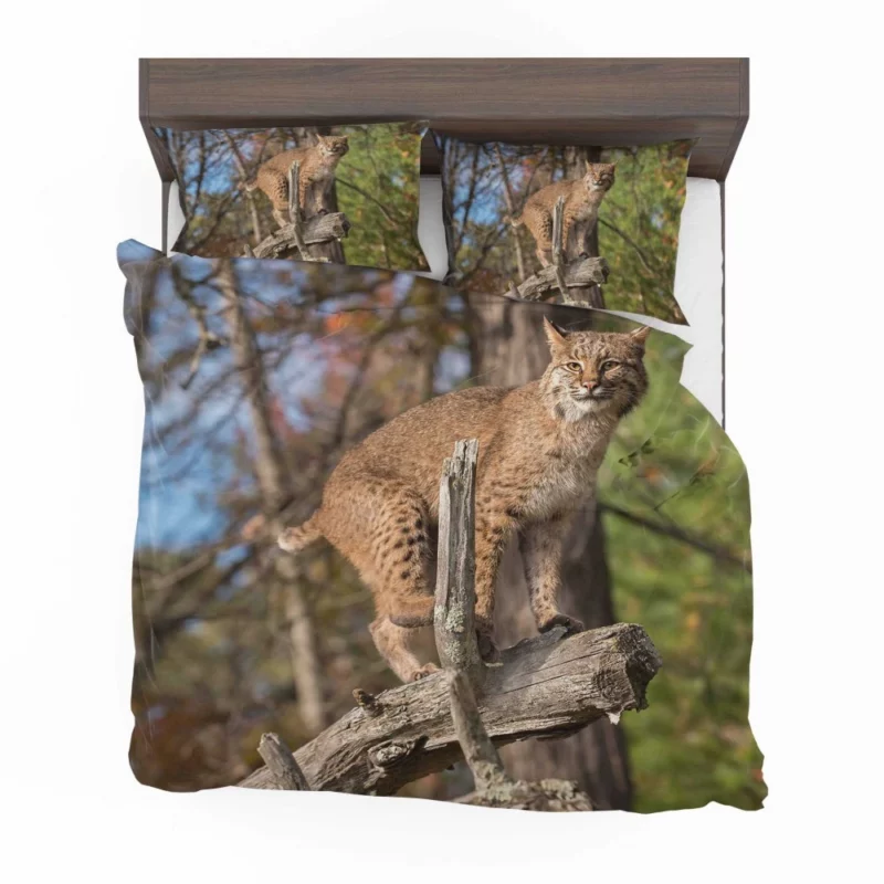 Lynx Enigmatic Stare Wilderness Beauty Bedding Set 1