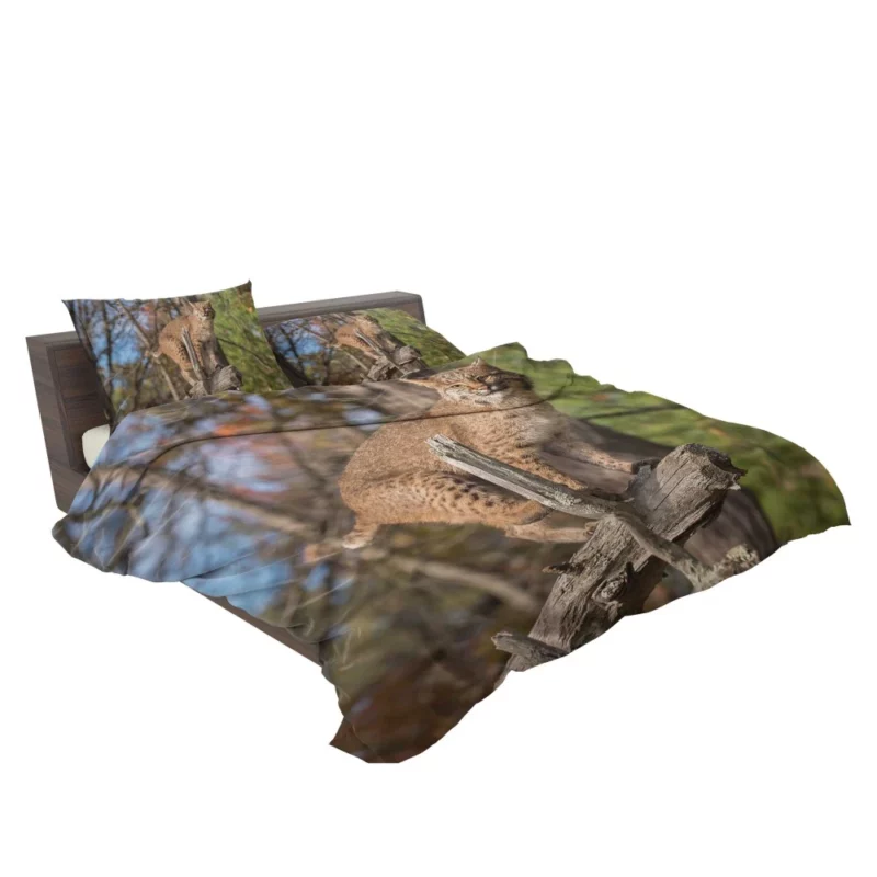 Lynx Enigmatic Stare Wilderness Beauty Bedding Set 2