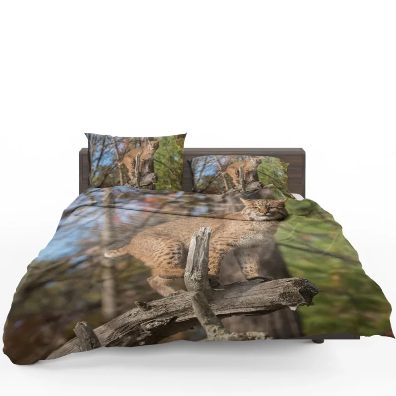 Lynx Enigmatic Stare Wilderness Beauty Bedding Set