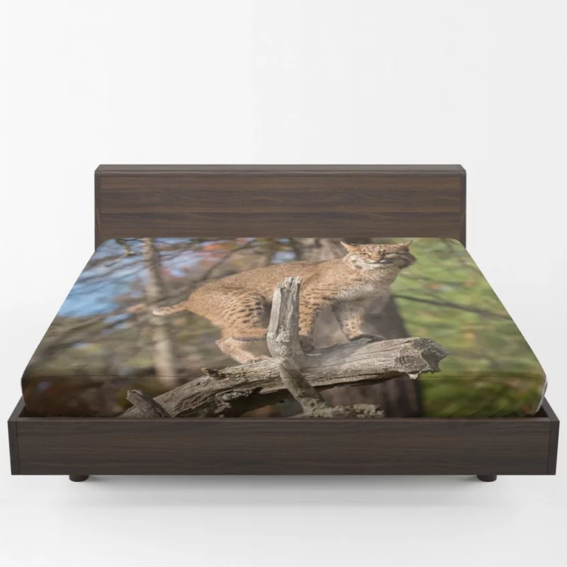 Lynx Enigmatic Stare Wilderness Beauty Fitted Sheet