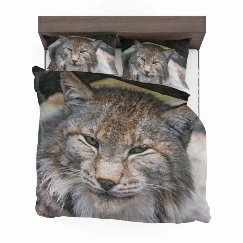 Lynx Enigmatic Stare Wilderness Elegance Bedding Set 1