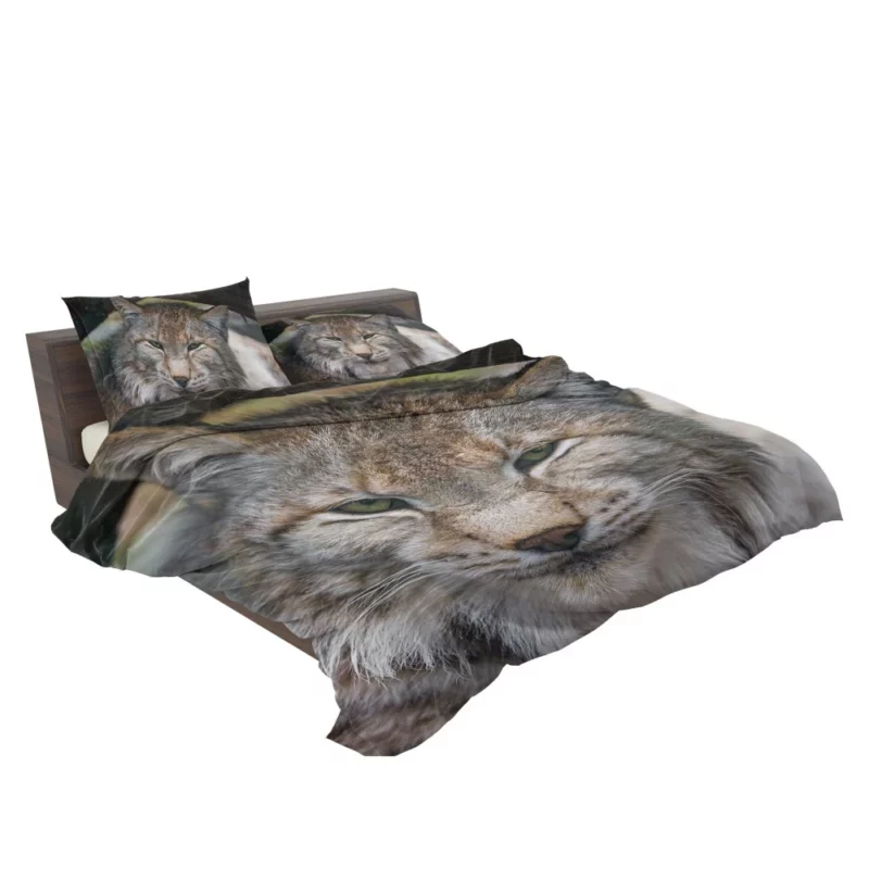 Lynx Enigmatic Stare Wilderness Elegance Bedding Set 2