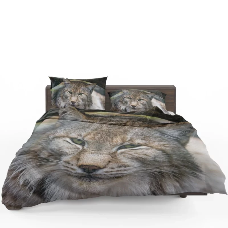 Lynx Enigmatic Stare Wilderness Elegance Bedding Set