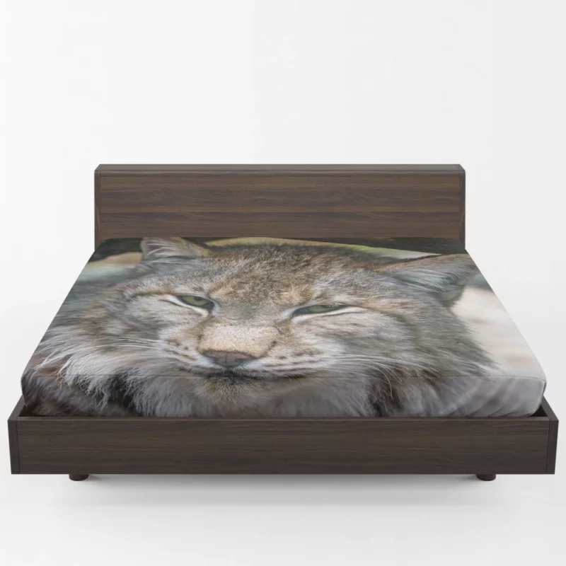 Lynx Enigmatic Stare Wilderness Elegance Fitted Sheet