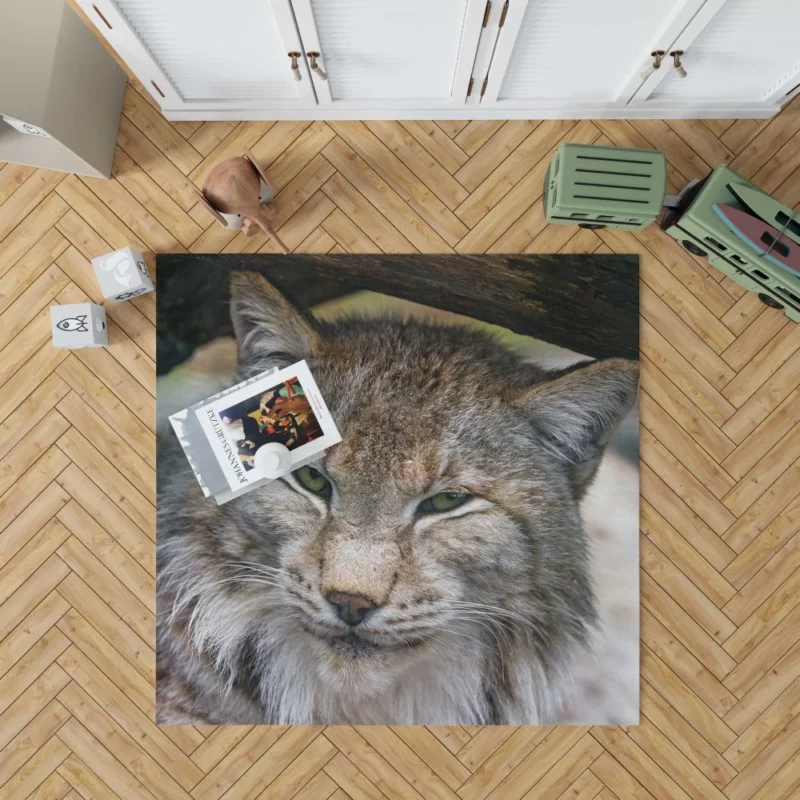 Lynx Enigmatic Stare Wilderness Elegance Rug