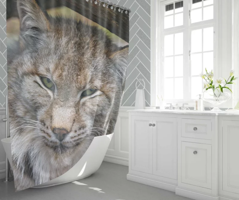 Lynx Enigmatic Stare Wilderness Elegance Shower Curtain 1