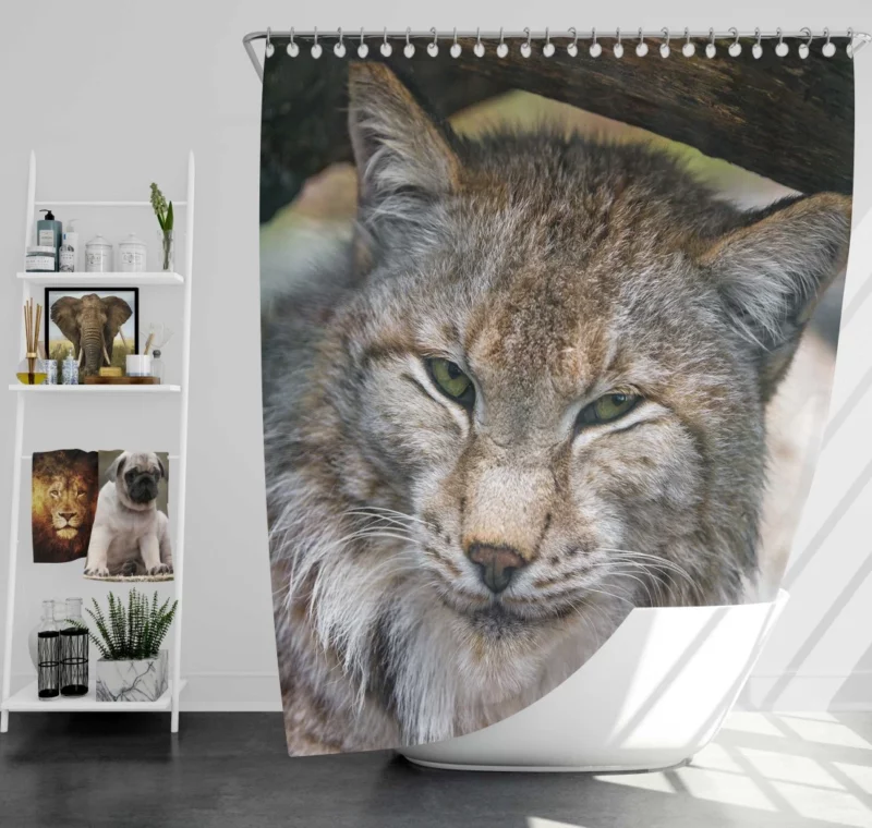 Lynx Enigmatic Stare Wilderness Elegance Shower Curtain