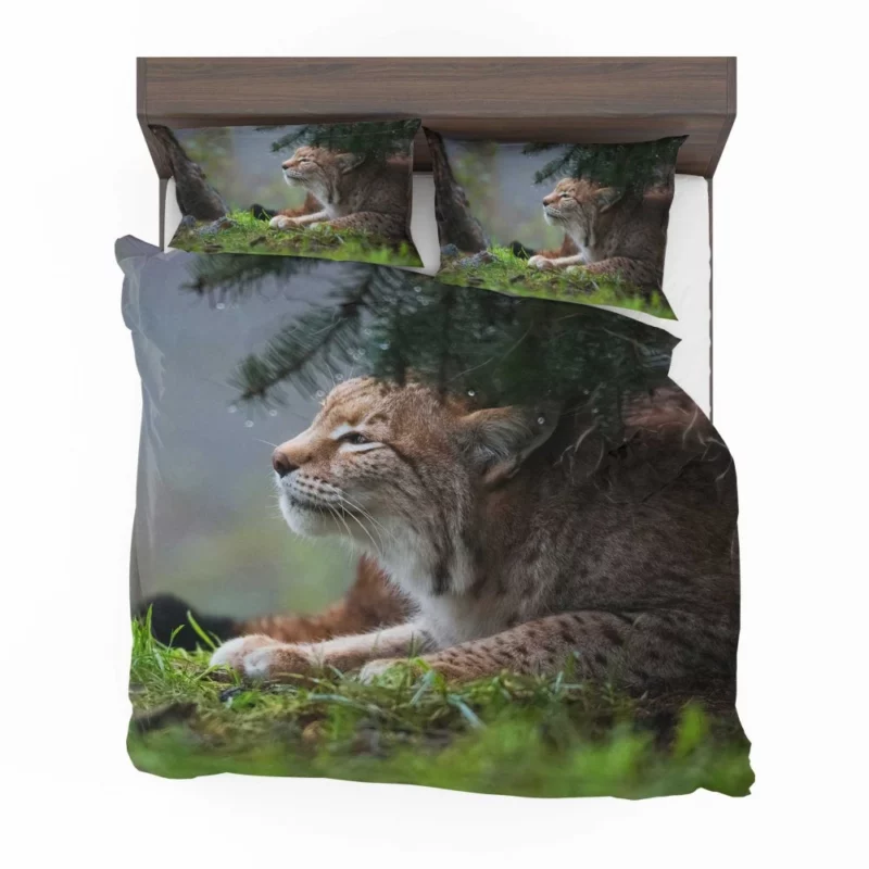 Lynx Enigmatic Stare Wilderness Gaze Bedding Set 1