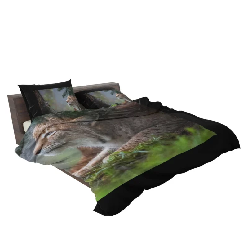 Lynx Enigmatic Stare Wilderness Gaze Bedding Set 2