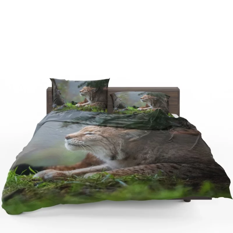 Lynx Enigmatic Stare Wilderness Gaze Bedding Set