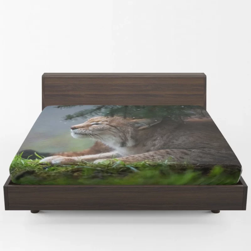 Lynx Enigmatic Stare Wilderness Gaze Fitted Sheet