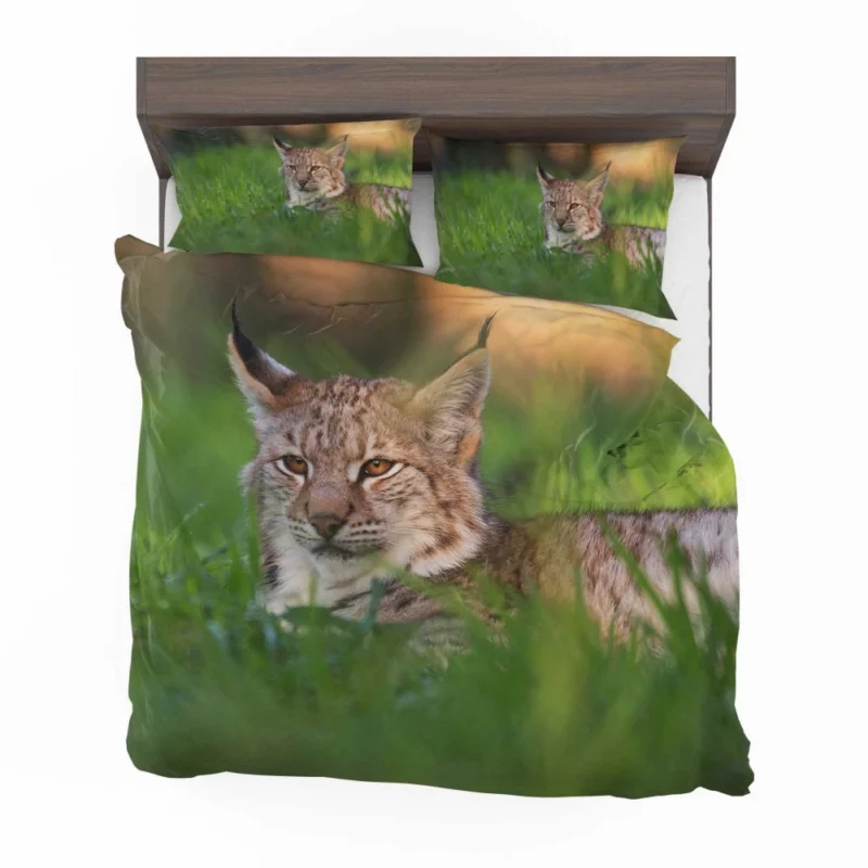 Lynx Enigmatic Wilderness Gaze Bedding Set 1