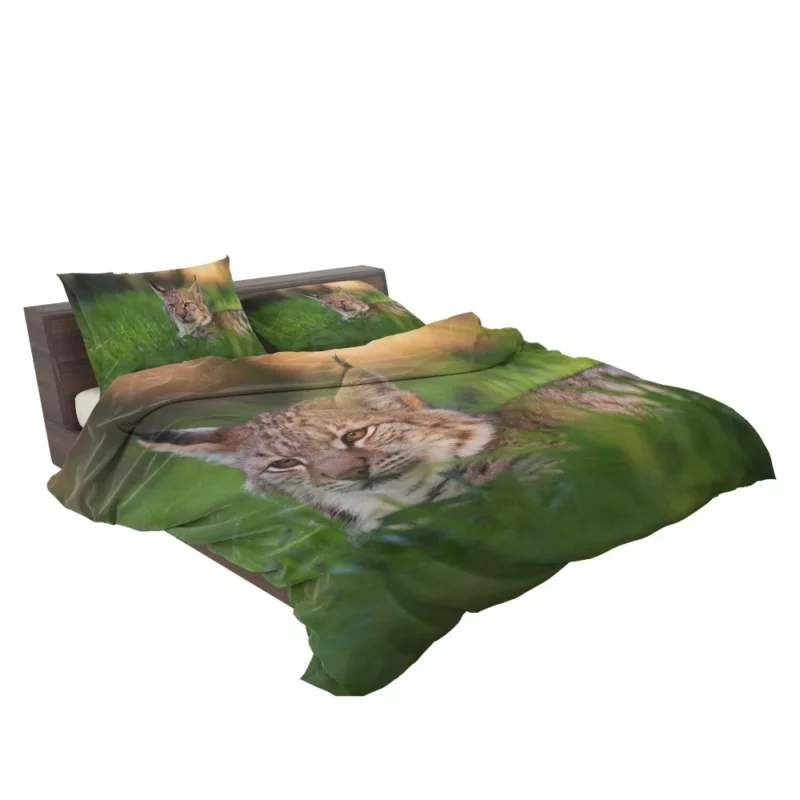 Lynx Enigmatic Wilderness Gaze Bedding Set 2