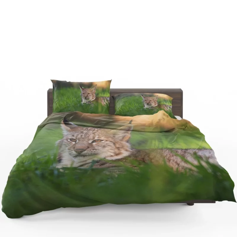 Lynx Enigmatic Wilderness Gaze Bedding Set