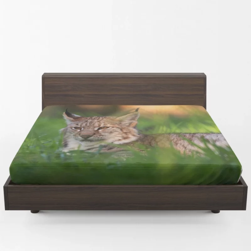 Lynx Enigmatic Wilderness Gaze Fitted Sheet