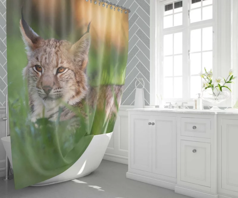 Lynx Enigmatic Wilderness Gaze Shower Curtain 1