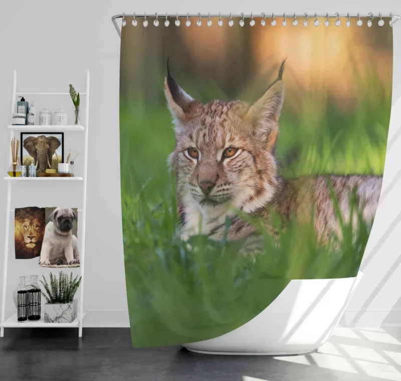 Lynx Enigmatic Wilderness Gaze Shower Curtain