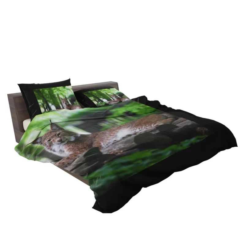 Lynx Hardy Bedding Set 2