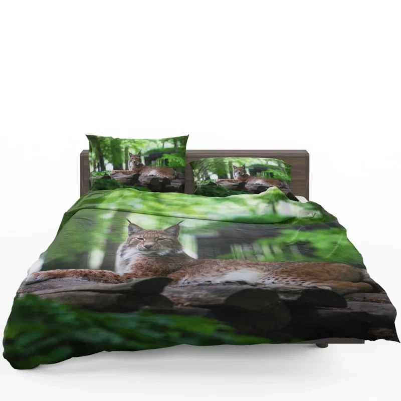 Lynx Hardy Bedding Set