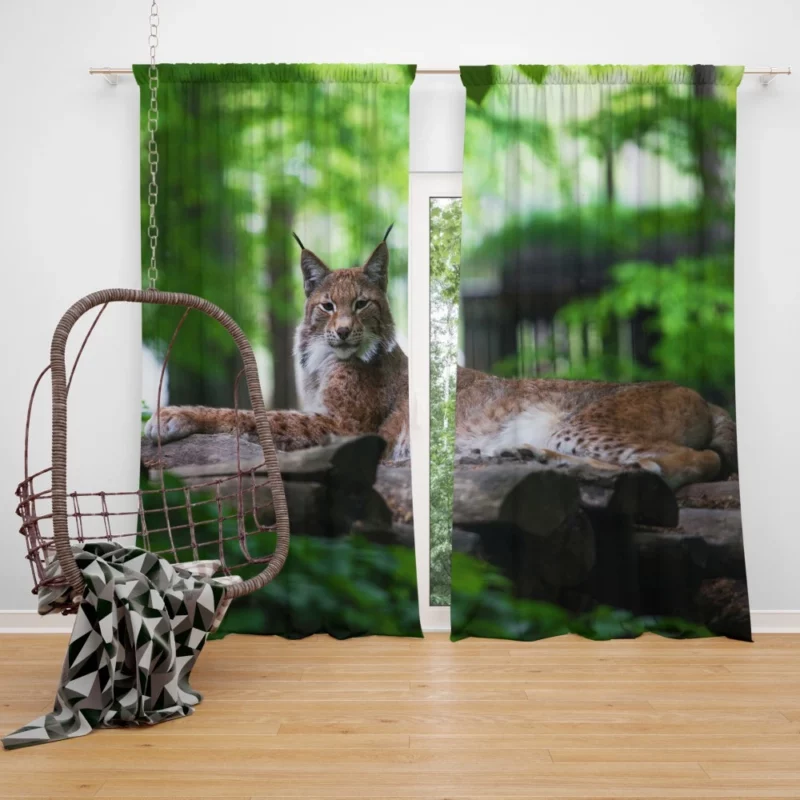 Lynx Hardy Curtain