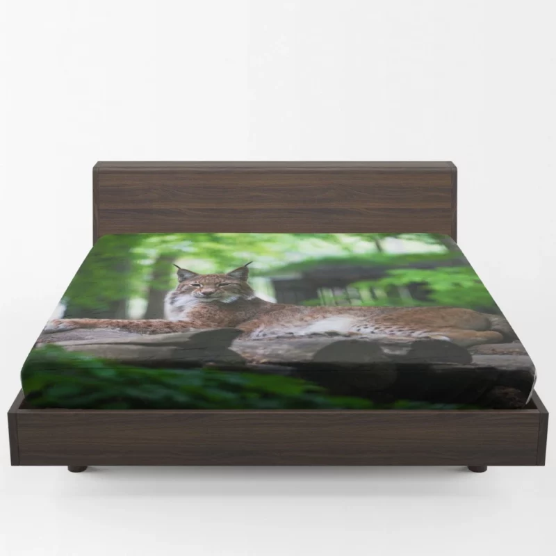 Lynx Hardy Fitted Sheet