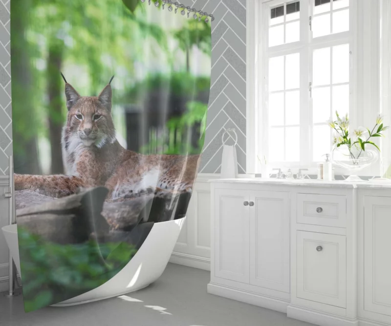 Lynx Hardy Shower Curtain 1