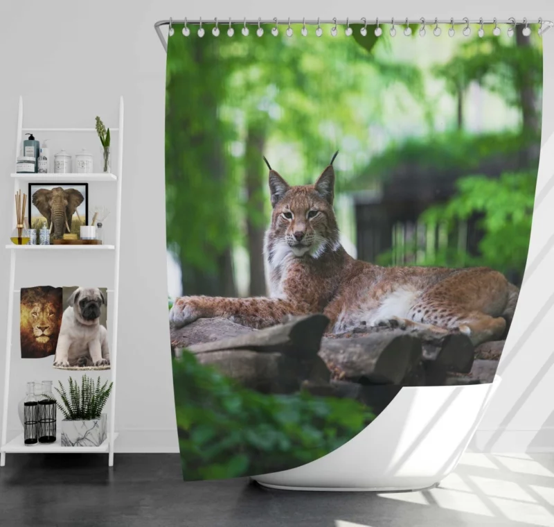 Lynx Hardy Shower Curtain