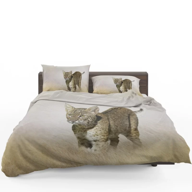 Lynx Mysterious Stare Enigmatic Intrigue Bedding Set