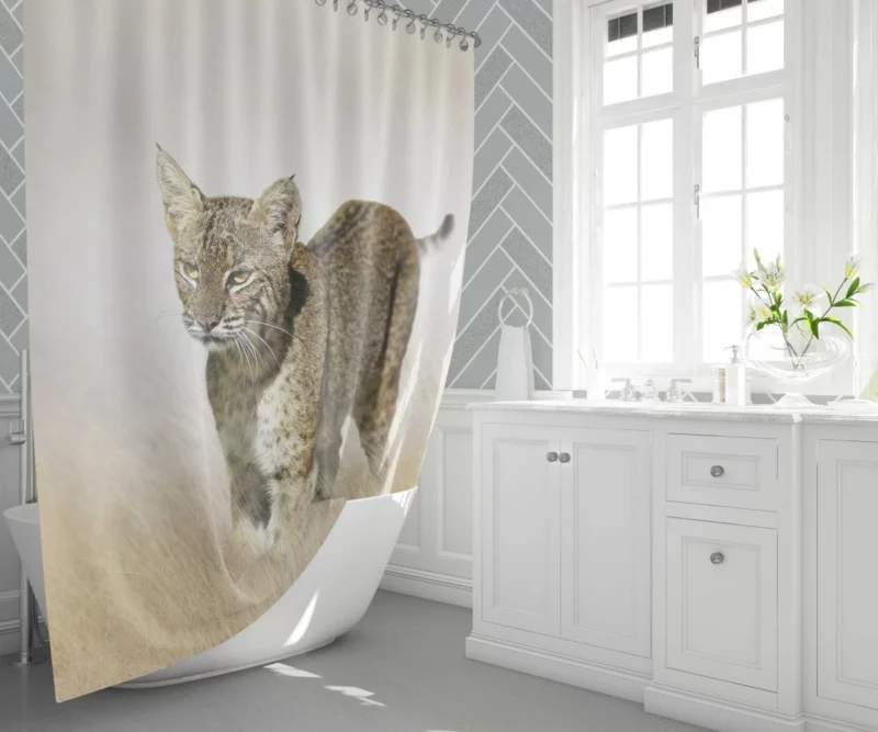 Lynx Mysterious Stare Enigmatic Intrigue Shower Curtain 1