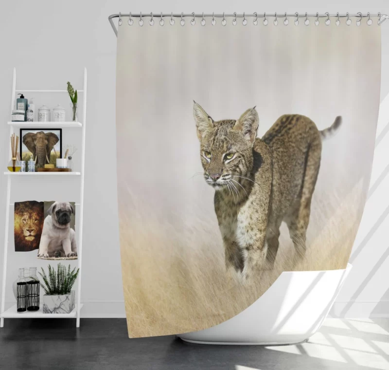 Lynx Mysterious Stare Enigmatic Intrigue Shower Curtain