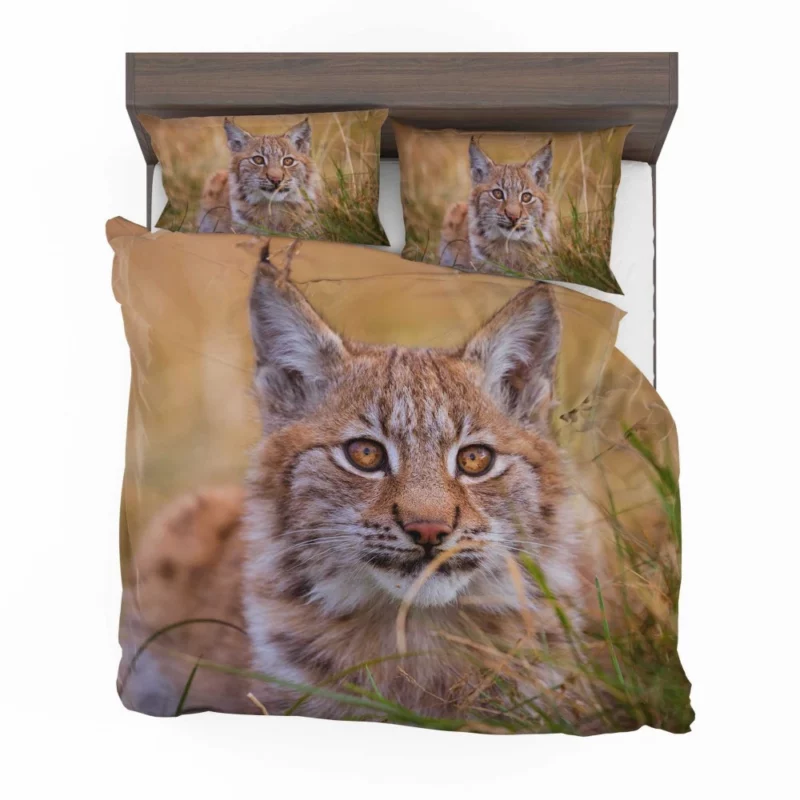 Lynx Power Bedding Set 1