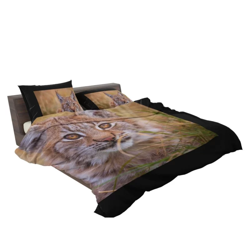 Lynx Power Bedding Set 2