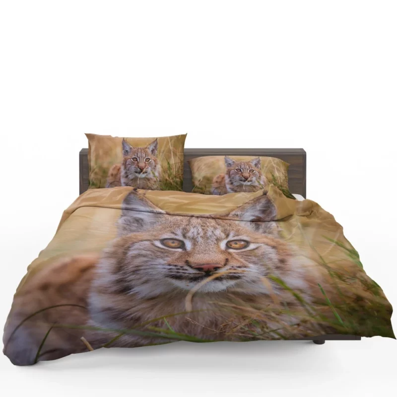 Lynx Power Bedding Set