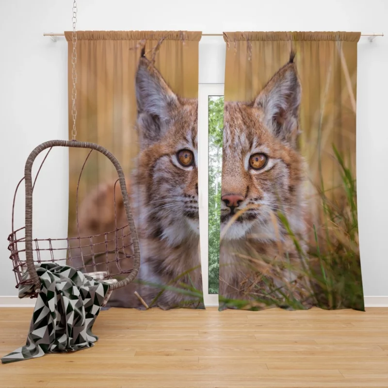 Lynx Power Curtain