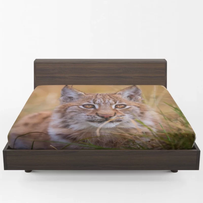 Lynx Power Fitted Sheet