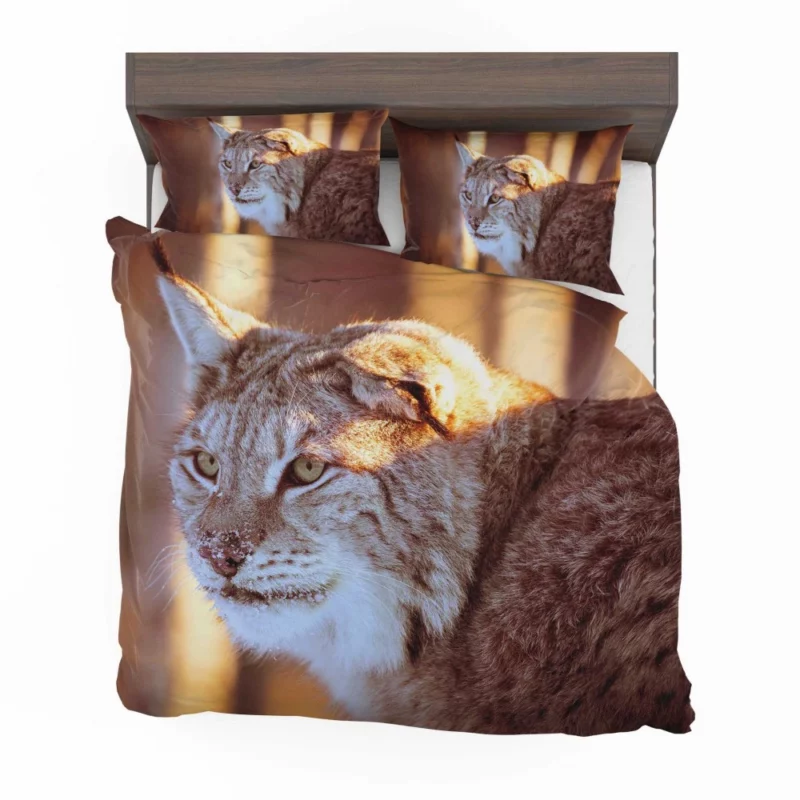 Lynx Primitive Bedding Set 1