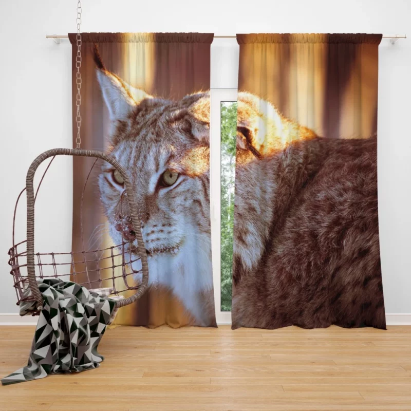 Lynx Primitive Curtain