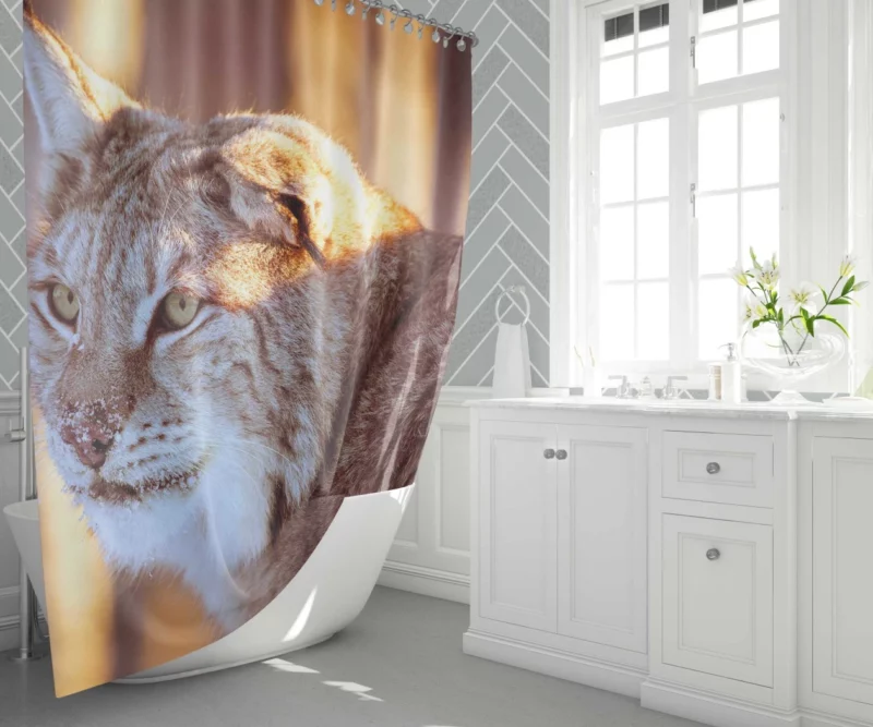 Lynx Primitive Shower Curtain 1