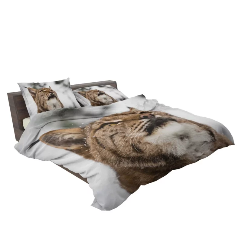 Lynx Quiet Majesty Close-Up Beauty Bedding Set 2