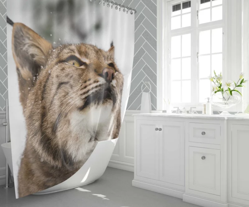 Lynx Quiet Majesty Close-Up Beauty Shower Curtain 1