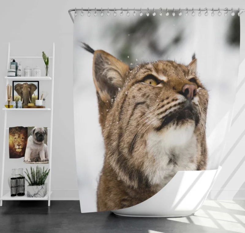 Lynx Quiet Majesty Close-Up Beauty Shower Curtain