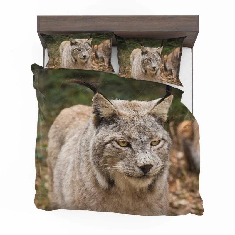 Lynx Wilderness Gaze Stealthy Intrigue Bedding Set 1