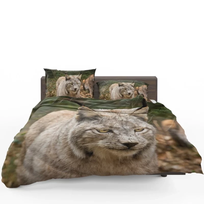 Lynx Wilderness Gaze Stealthy Intrigue Bedding Set