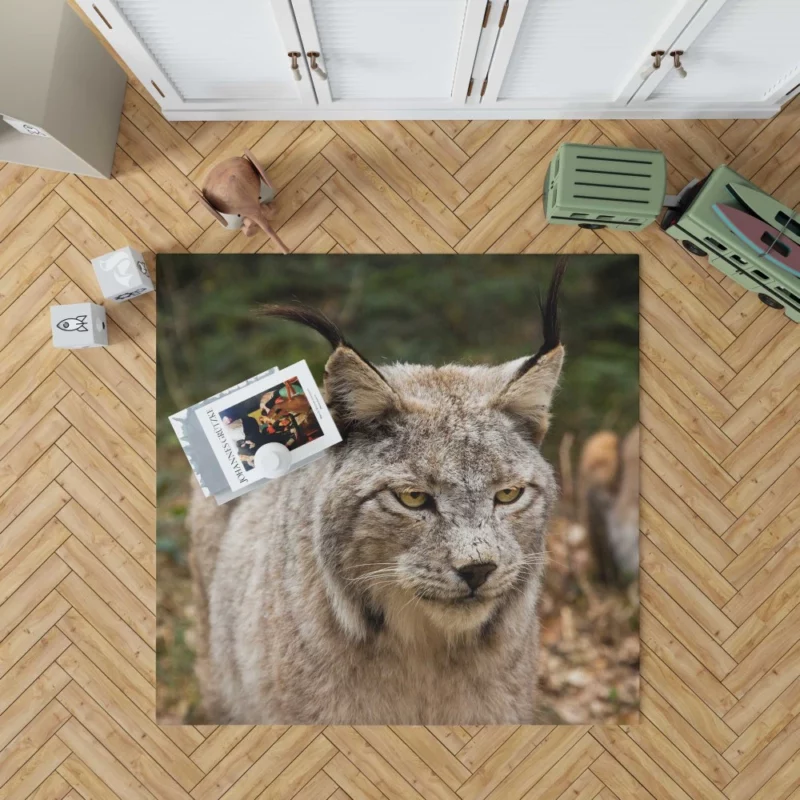 Lynx Wilderness Gaze Stealthy Intrigue Rug