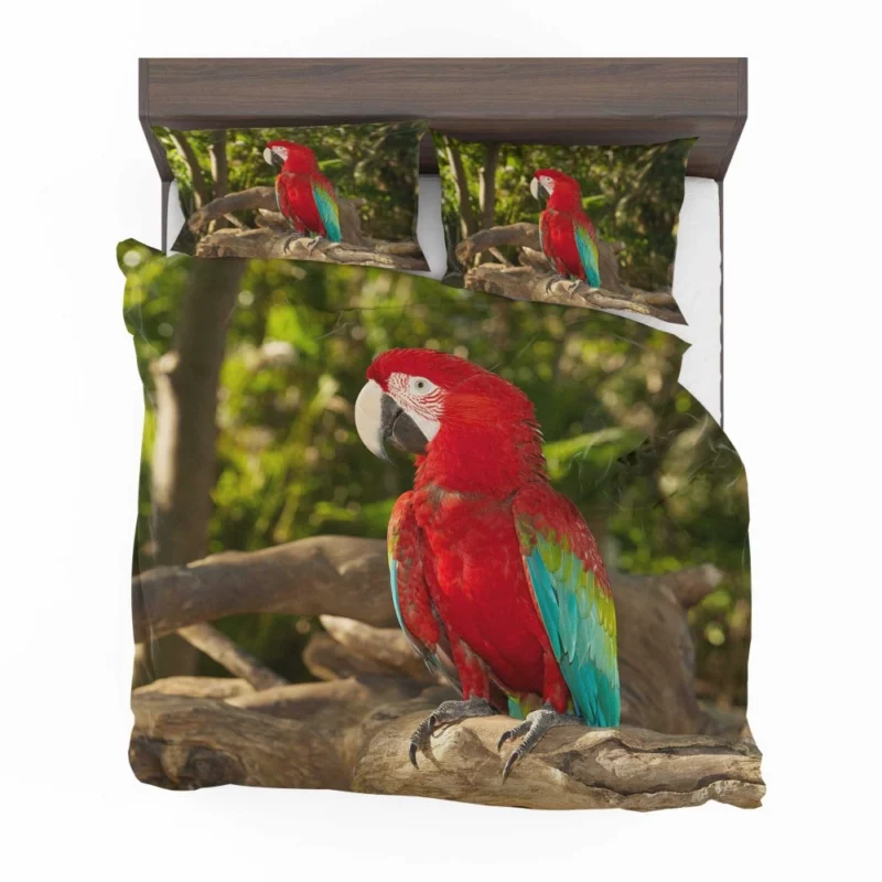 Macaw Colorful Splendor Parrot Delight Bedding Set 1