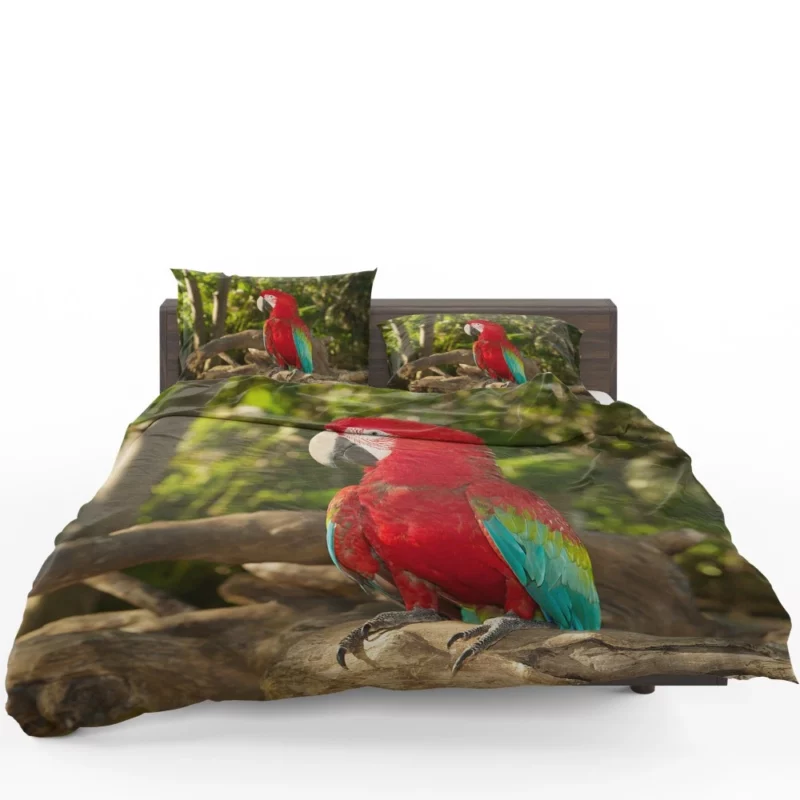 Macaw Colorful Splendor Parrot Delight Bedding Set