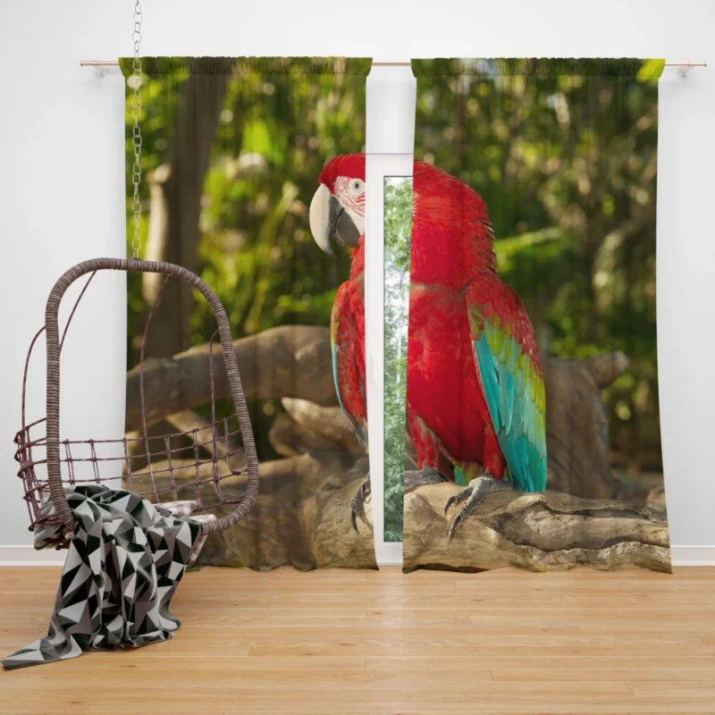 Macaw Colorful Splendor Parrot Delight Curtain