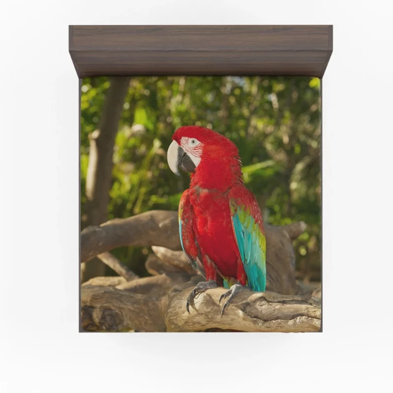 Macaw Colorful Splendor Parrot Delight Fitted Sheet 1