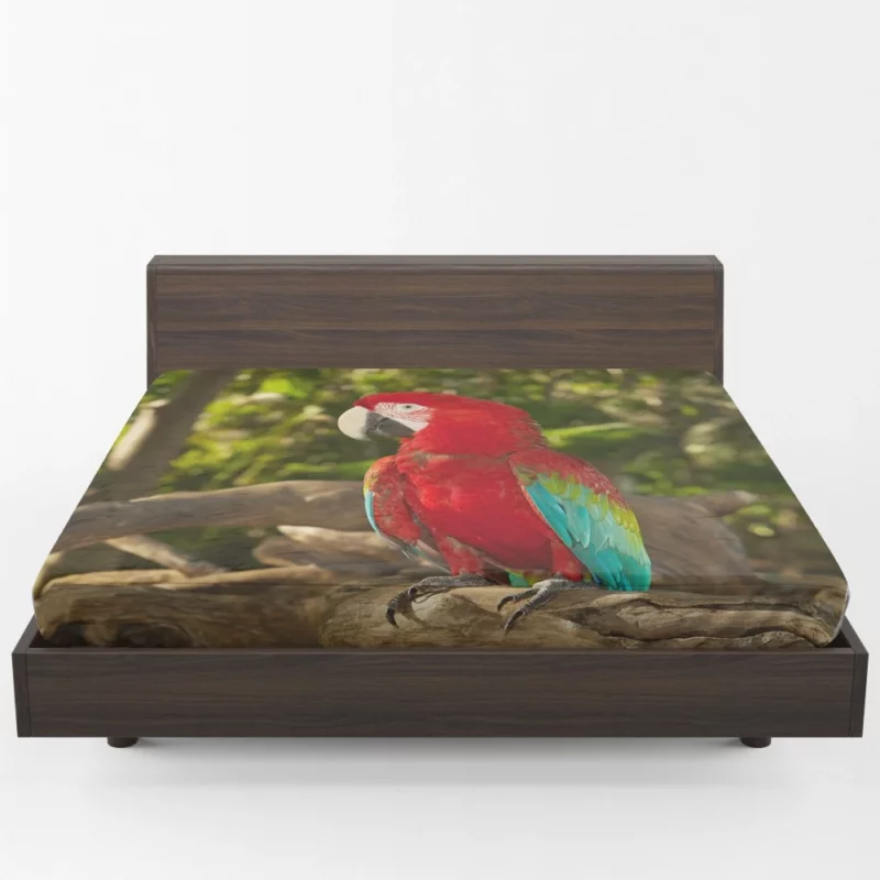 Macaw Colorful Splendor Parrot Delight Fitted Sheet