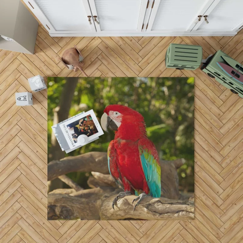 Macaw Colorful Splendor Parrot Delight Rug